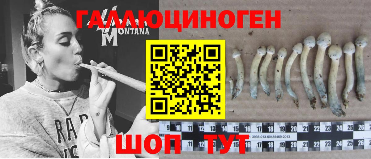 магазин продажи наркотиков  Псилоцибиновые грибы прущие грибы  Вход с VPN  Галлюциногенные грибы GOLDEN TEACHER  Сердобск 