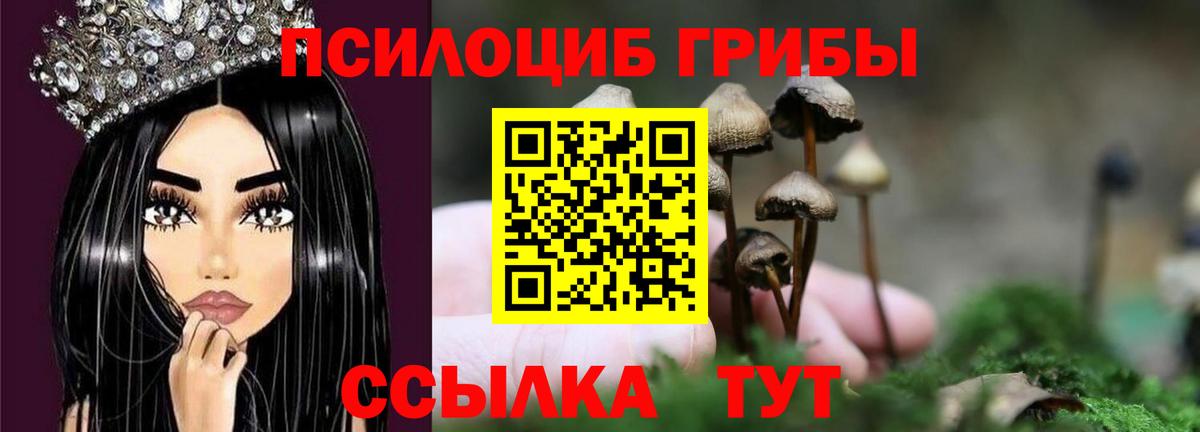 Псилоцибиновые грибы GOLDEN TEACHER Сердобск